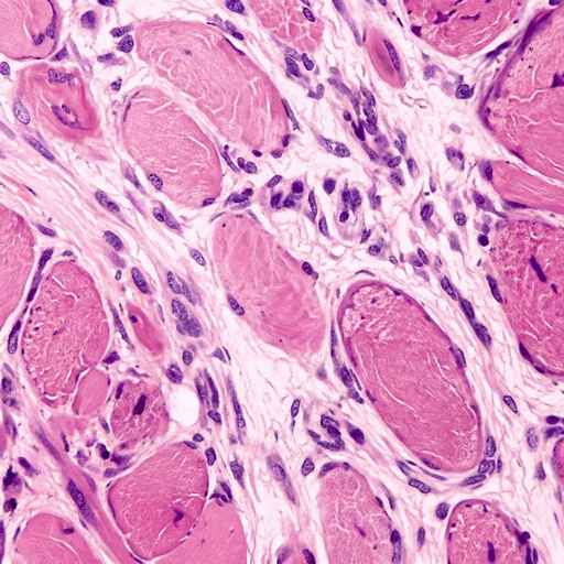 Reuters: IPOX® Associate Muehlbauer on Agomab’s Nasdaq Debut Amid Biotech Selectivity